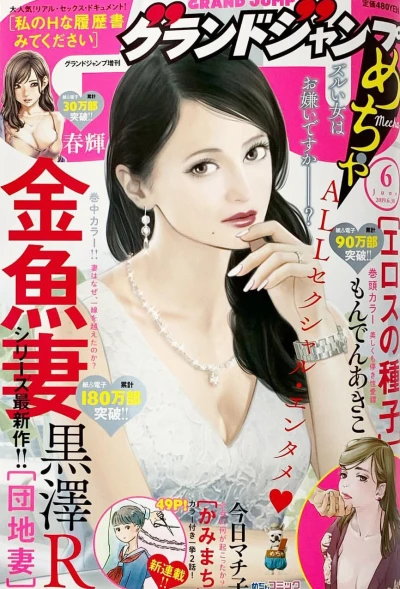 Cover of Volume #201906