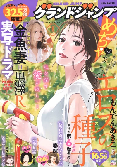 Cover of Volume #202206