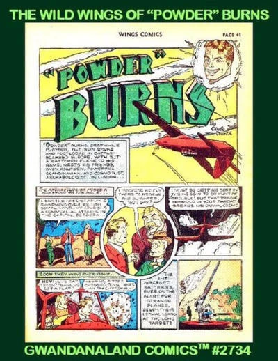 Cover of The Wild Wings of "Powder" Burns