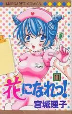 Cover of Vol. 11