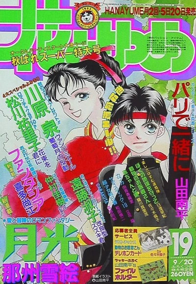 Cover of No. 19, 1993