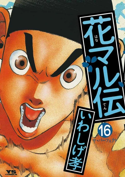 Cover of Volume 16