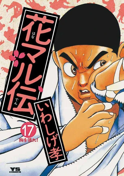 Cover of Volume 17
