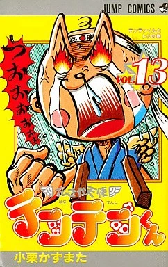 Cover of Vol. 13