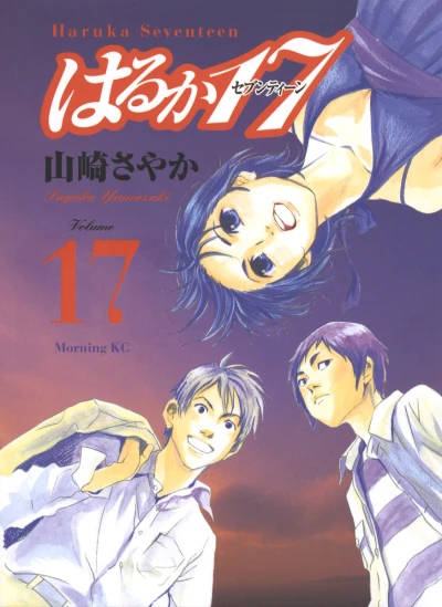 Cover of Vol. 17