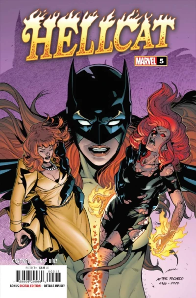 Cover of The Season Finale