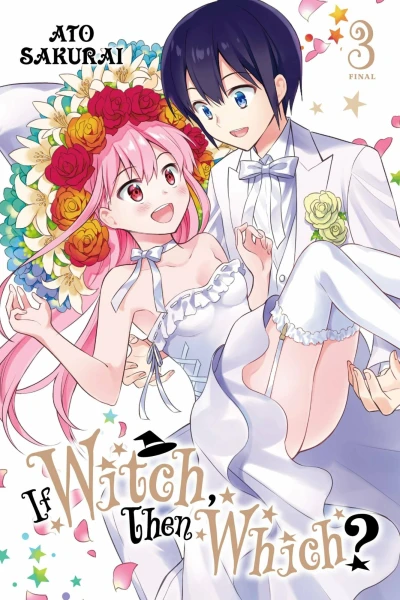 Cover of Volume 3