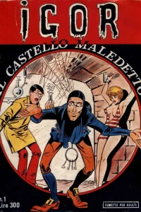 Il castello maledetto