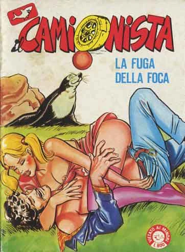 Cover of La fuga della foca