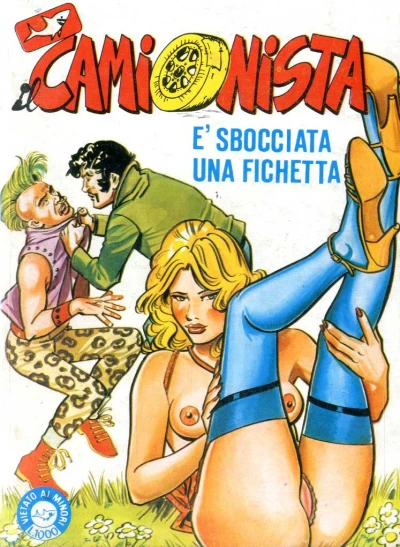 Cover of E' sbocciata una fichetta