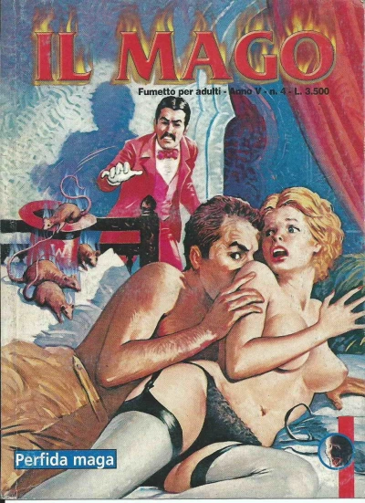 Cover of Perfida maga