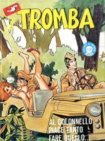 Cover of Al colonnello piace tanto fare quello...