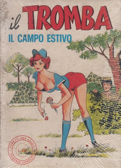 Cover of Il campo estivo
