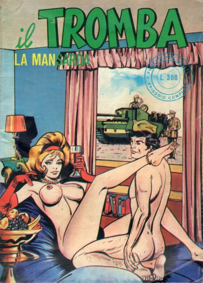Cover of La mansarda