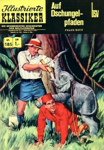 Cover of Auf Dschungelpfaden