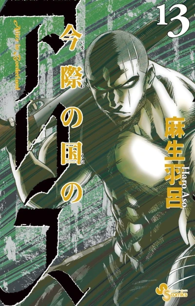 Cover of Vol. 13