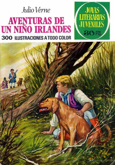 Cover of Aventuras de un niño irlandés