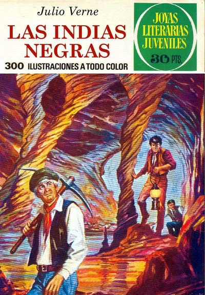 Cover of Las indias negras