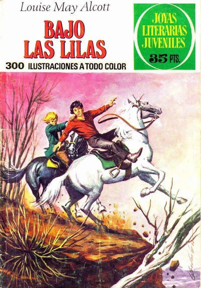 Cover of Bajo de las lilas