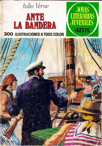 Cover of Ante la bandera