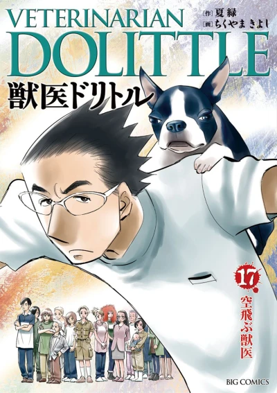 Cover of Vol. 17