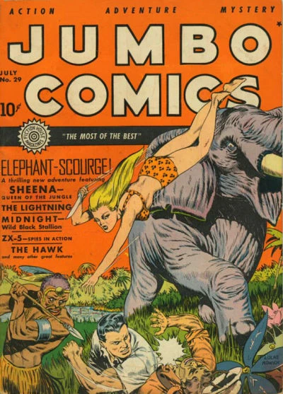Cover of Issue #29
