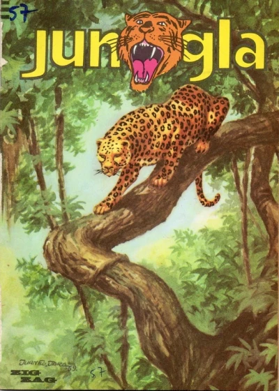 Cover of Mawa y el rio de oro