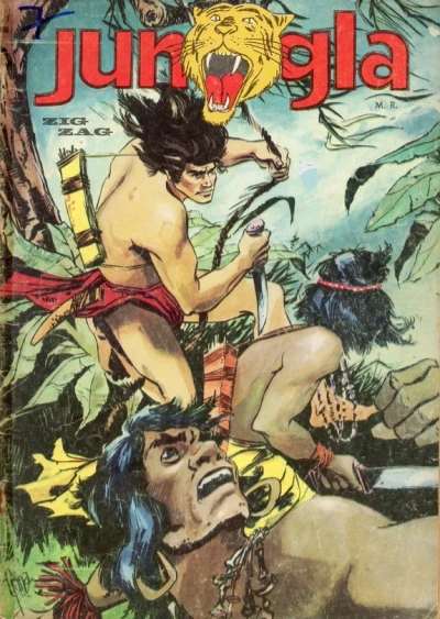 Cover of Mawa y la traición de Almeida