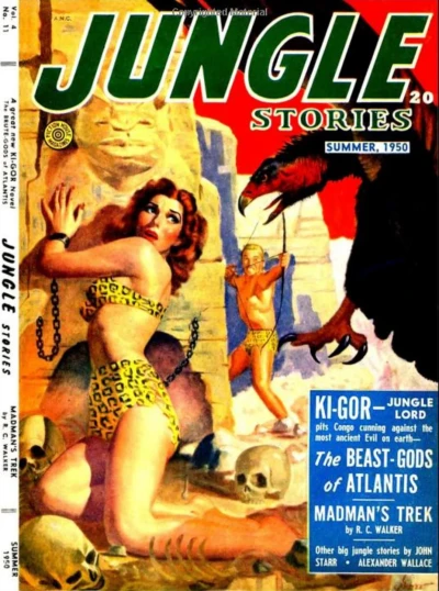 Cover of Volume 4 Issue 11
