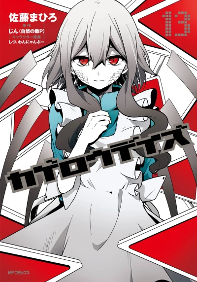 Cover of Vol. 13
