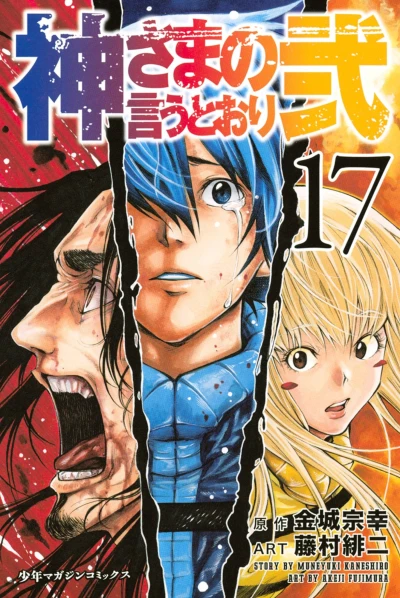 Cover of Vol. 17