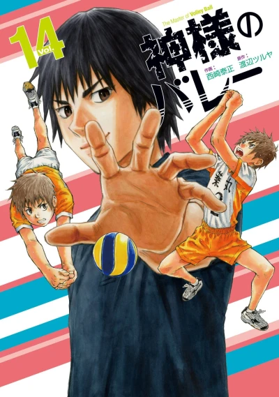Cover of Vol. 14