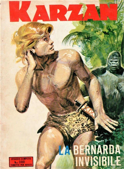 Cover of La Bernarda Invisibile