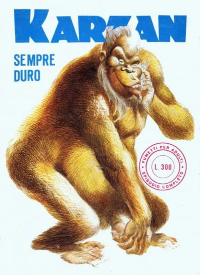 Cover of Sempre Duro