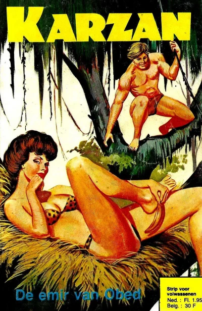 Cover of De emir van Obed