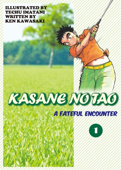Cover of A Fateful Encounter