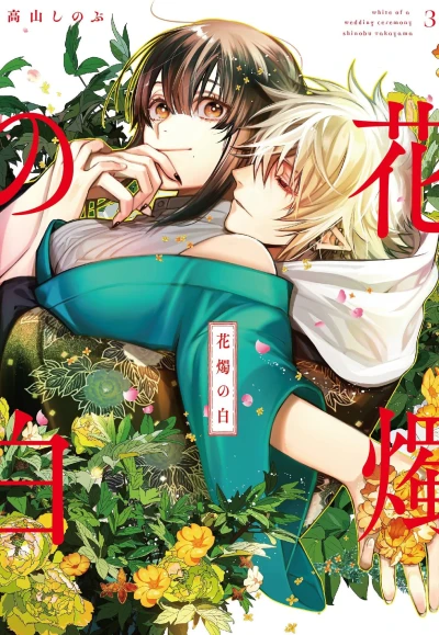 Cover of Volume 3