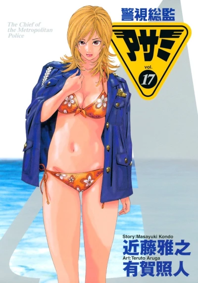 Cover of Vol. 17