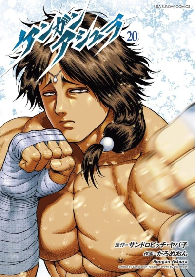Cover of Vol. 20