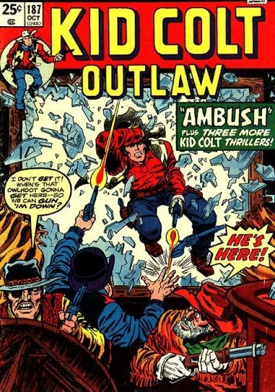 Cover of Ambush!