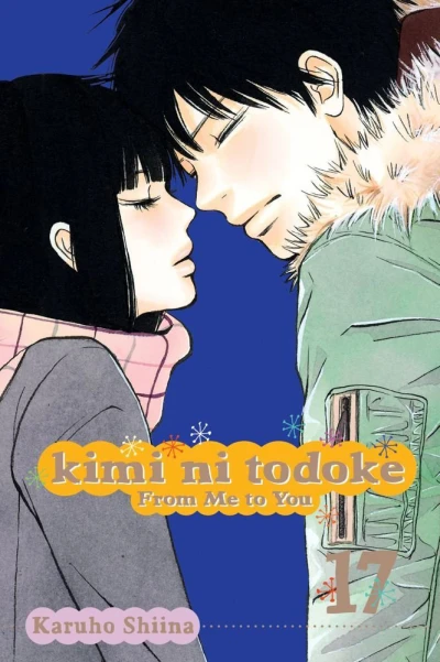 Cover of Volume 17