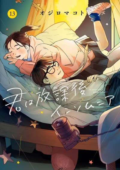 Cover of Volume 13