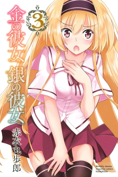 Cover of Vol. 3