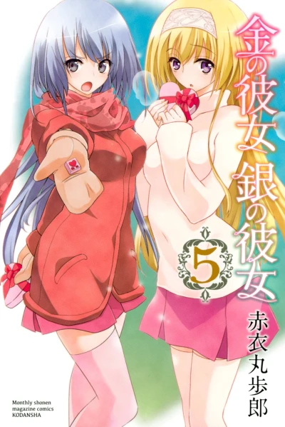 Cover of Vol. 5