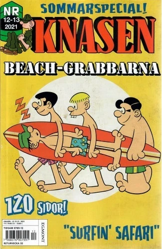 Cover of Beach-Grabbarna
