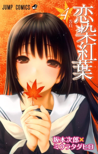 Cover of Vol. 4