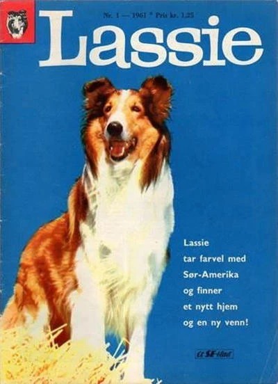 Cover of Issue #196101