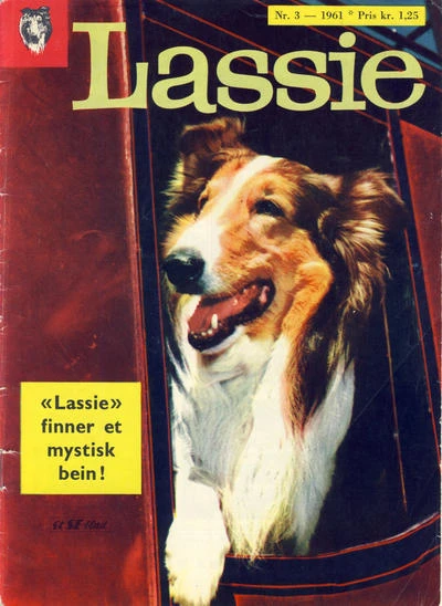 Cover of Issue #196103