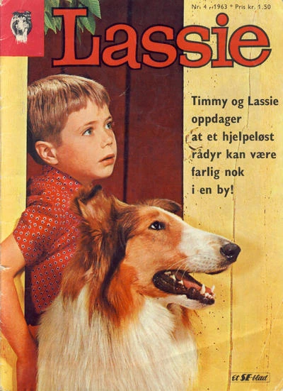 Cover of Issue #196304