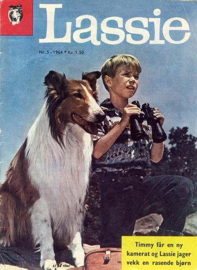 Cover of Issue #196405